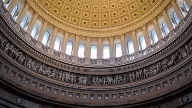 swe-executive-director-attends-stem-advocacy-events