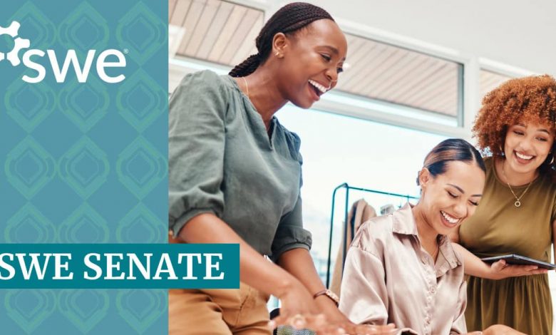 fy24-swe-senate-strategic-planning-subteam-findings-and-recommendations